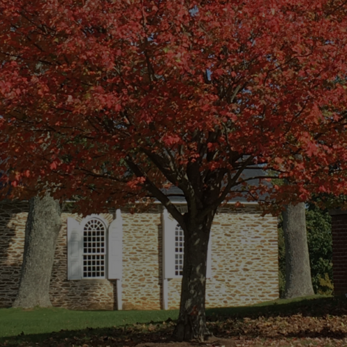 Historic Guinston in Fall